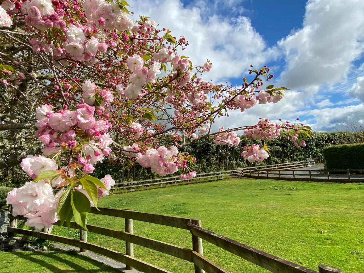 Unique Equestrian Lifestyle Bed & Breakfast Tamahere Exterior photo