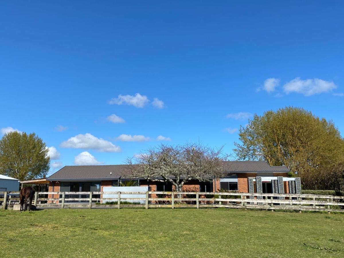 Unique Equestrian Lifestyle Bed & Breakfast Tamahere Exterior photo