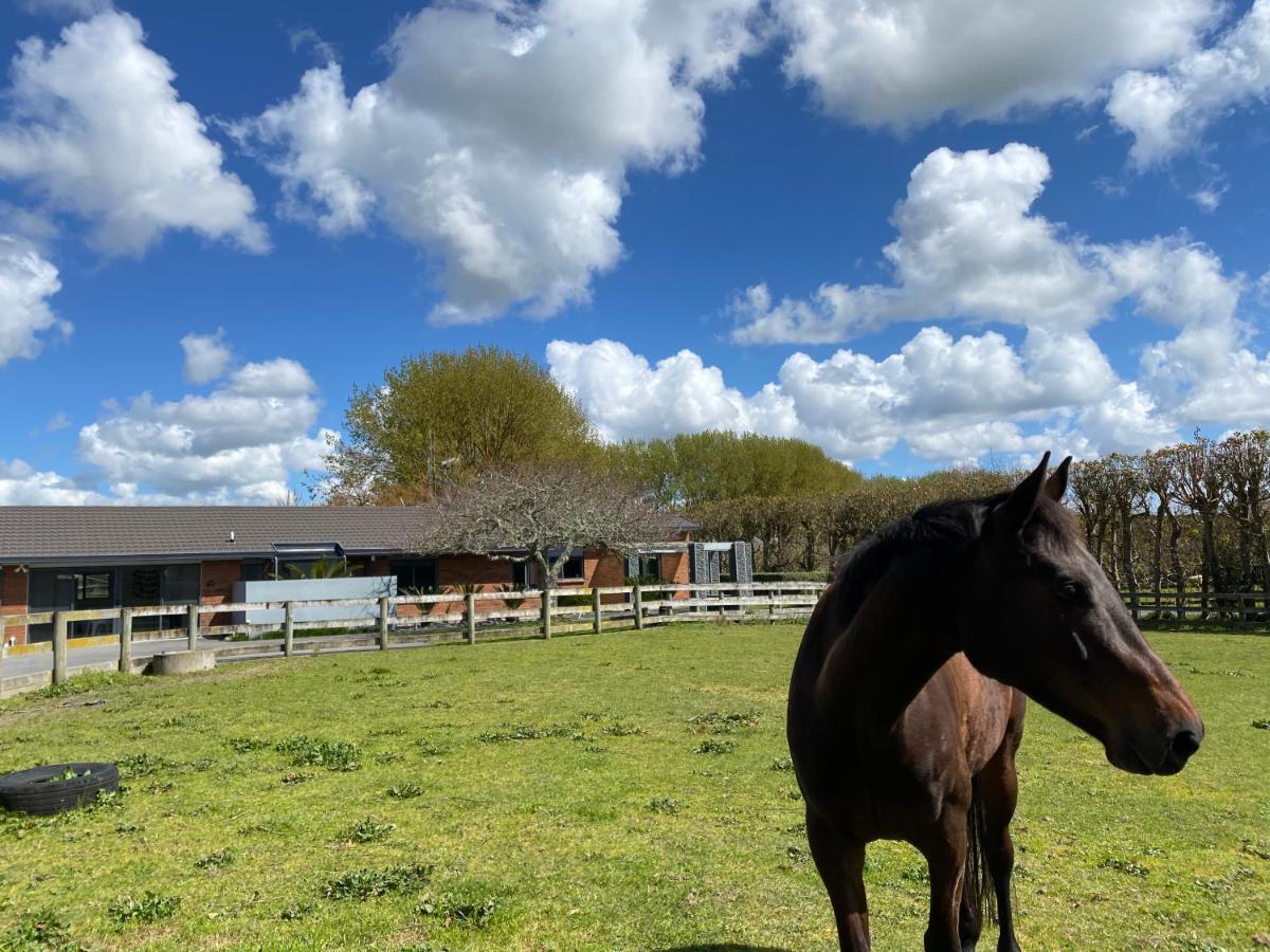 Unique Equestrian Lifestyle Bed & Breakfast Tamahere Exterior photo