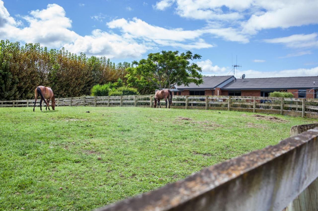 Unique Equestrian Lifestyle Bed & Breakfast Tamahere Exterior photo